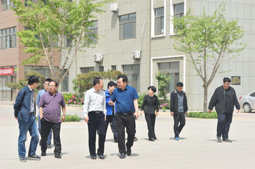 山東魯磁 山東魯磁