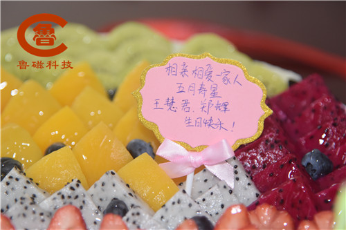 魯磁科技 魯磁科技