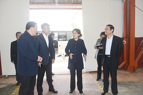 【頭條】臨清市市長祁學(xué)蘭、副市長王慶瑞等領(lǐng)導(dǎo)蒞臨魯磁科技督導(dǎo)項(xiàng)目情況