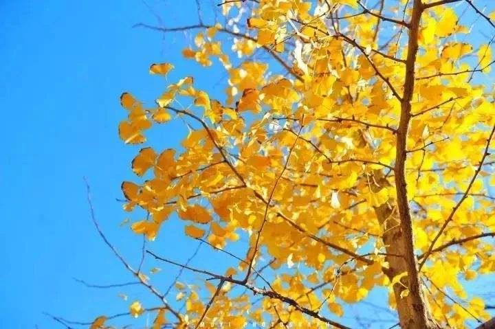 勇往直前 魯磁開啟新征程！