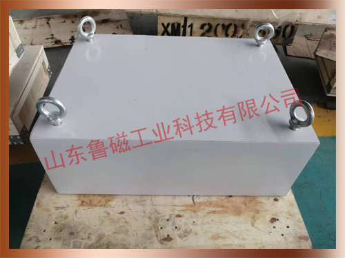 魯磁除鐵器 品質(zhì)優(yōu)越性能穩(wěn)